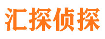 江岸市私家侦探